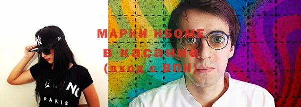 хмурый Аркадак