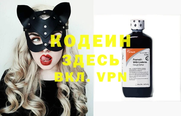 хмурый Аркадак
