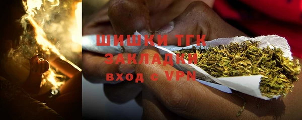 хмурый Аркадак