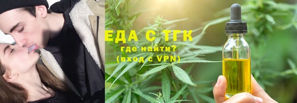 хмурый Аркадак