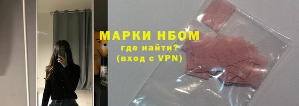 хмурый Аркадак