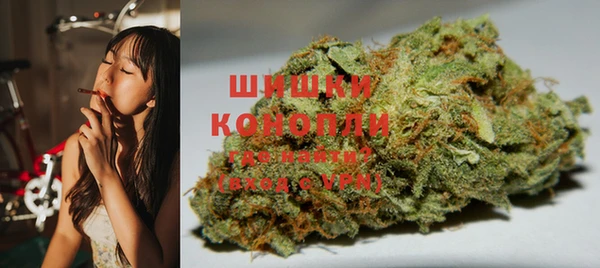 хмурый Аркадак