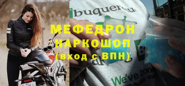 хмурый Аркадак