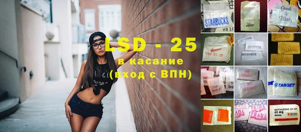 хмурый Аркадак
