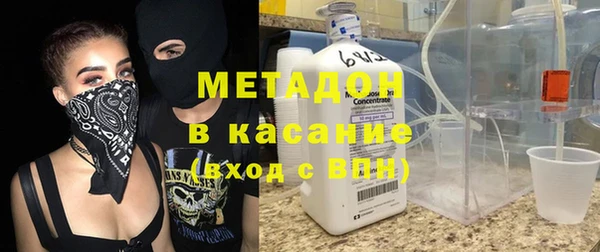 хмурый Аркадак