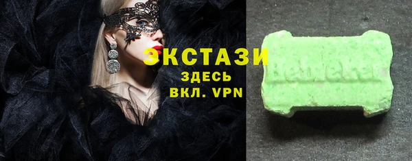 хмурый Аркадак