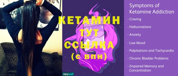 хмурый Аркадак