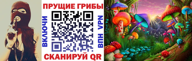наркошоп  Салаир  Псилоцибиновые грибы Cubensis 